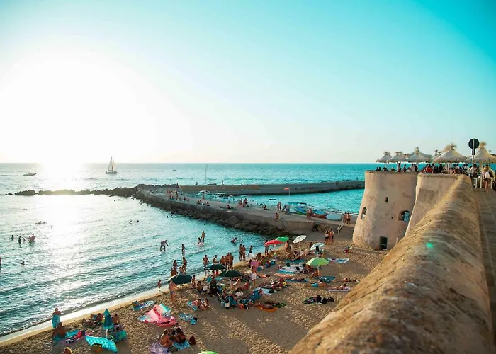 Semesterbostad Alaka Gallipolli